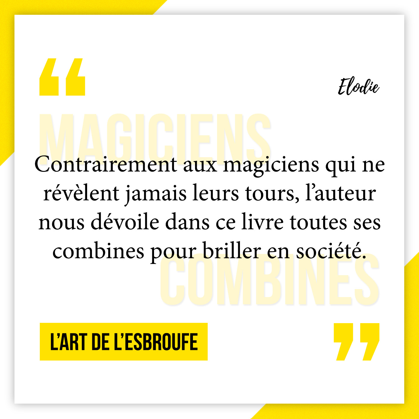 Avis lecture de L'art de l'esbroufe : le livre pour briller en société !