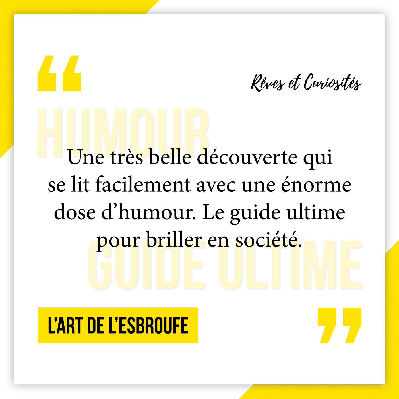 Avis lecture - L'art de l'esbroufe : le livre pour briller en société !