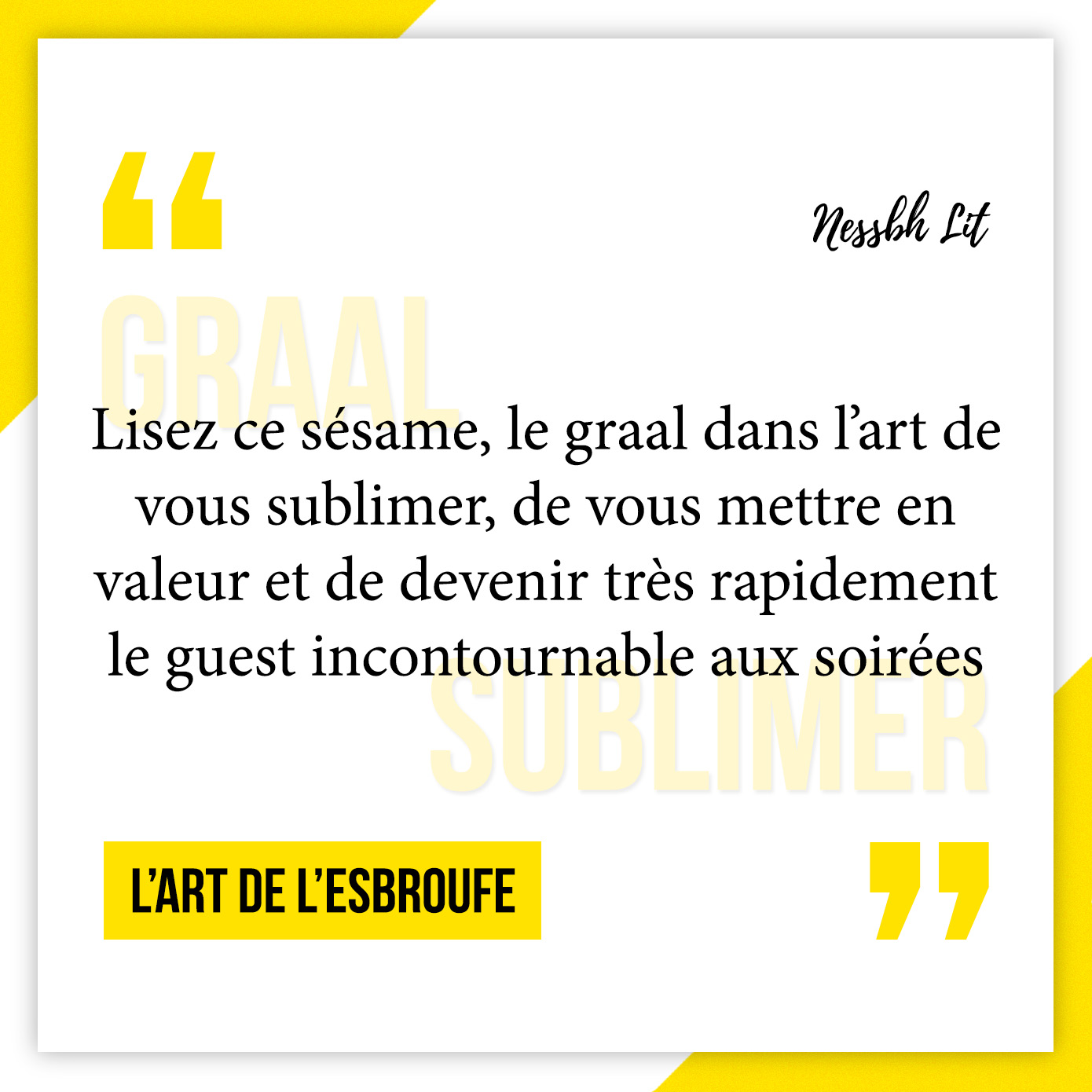 Avis lecture de L'art de l'esbroufe : le livre pour briller en société !