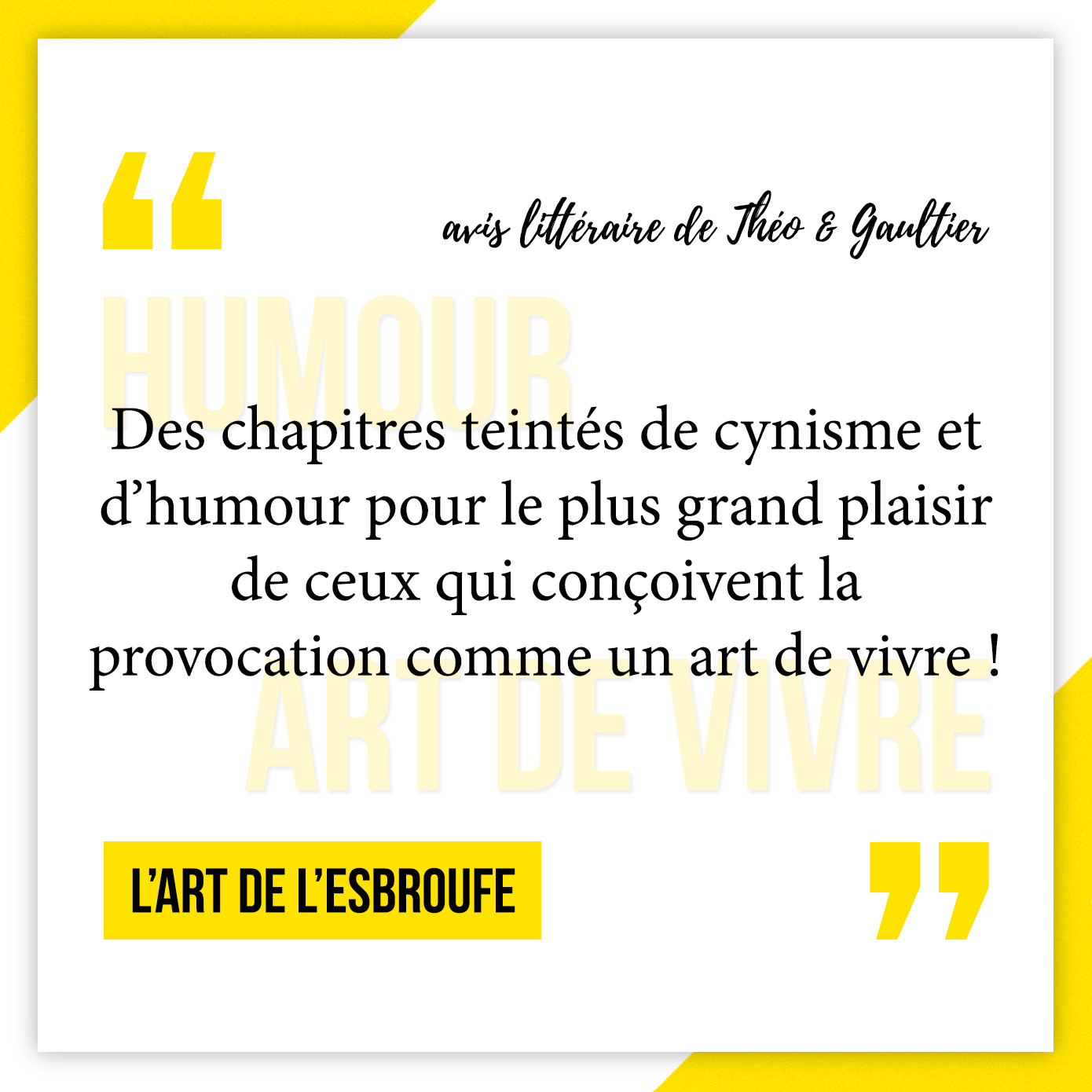 Avis lecture de L'art de l'esbroufe : le livre pour briller en société !