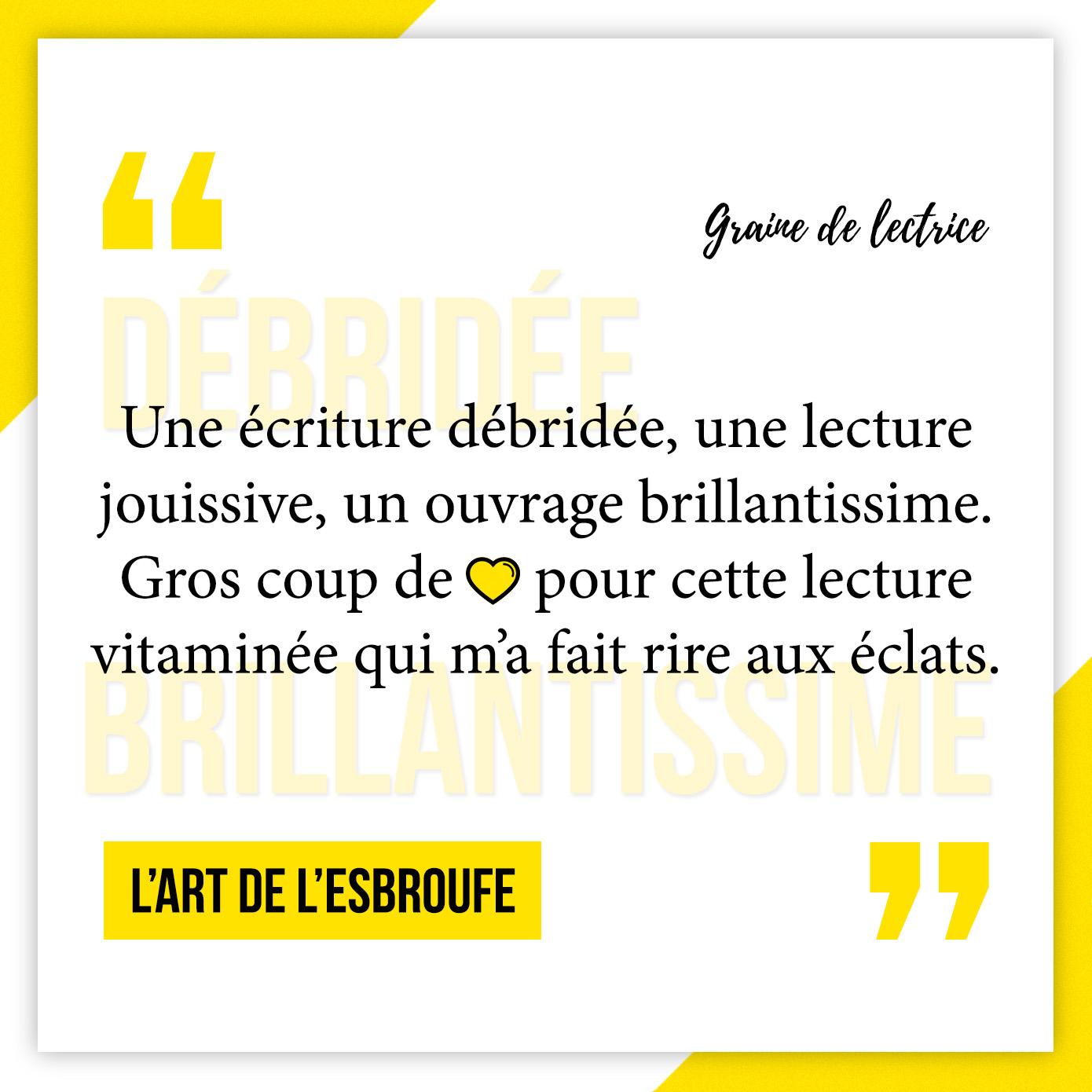 Avis lecture de L'art de l'esbroufe : le livre pour briller en société !